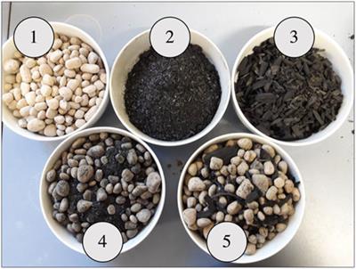 Vertical green system for gray water treatment: Analysis of the VertiKKA-module in a field test